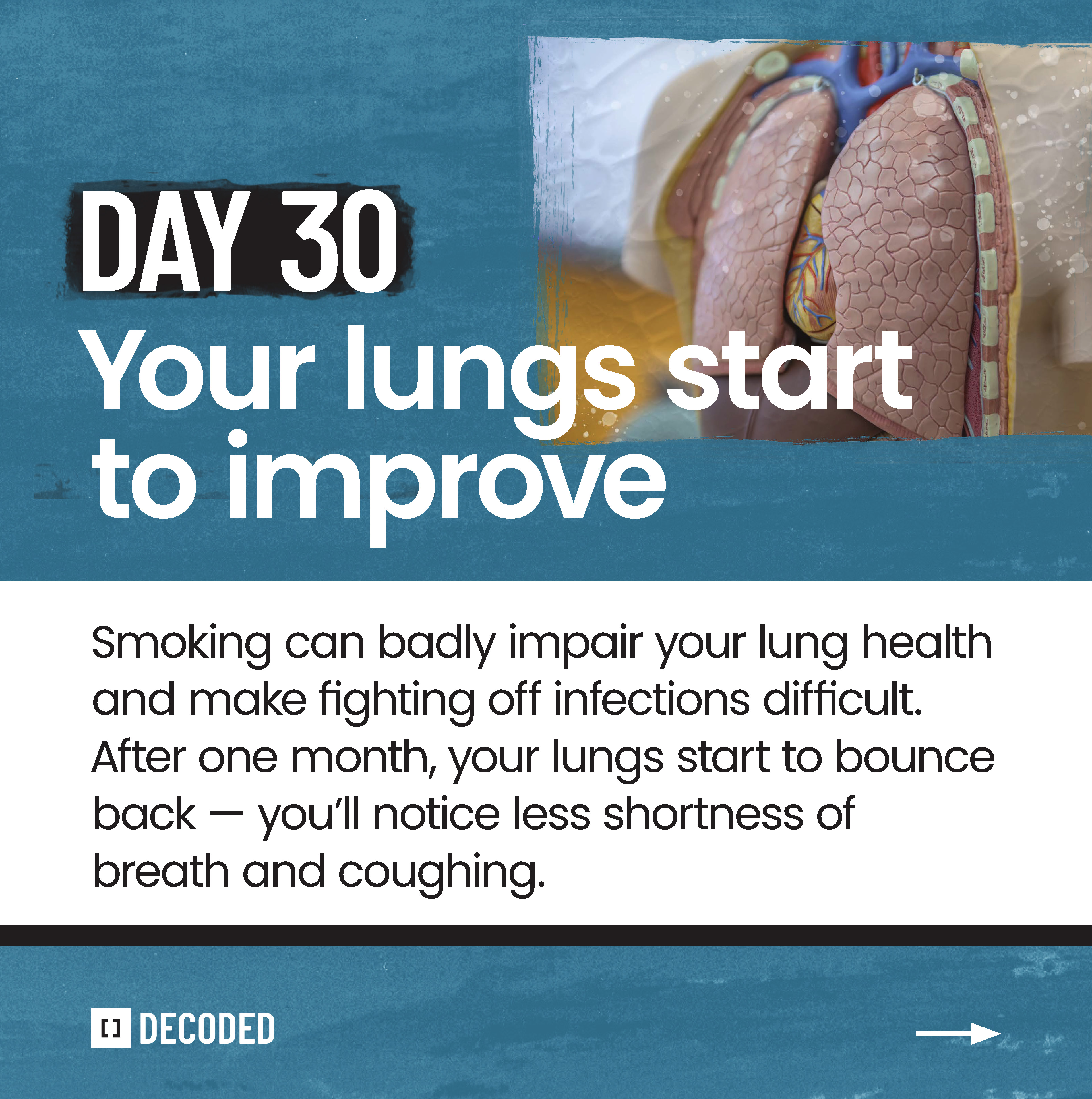 Your lungs start to improve