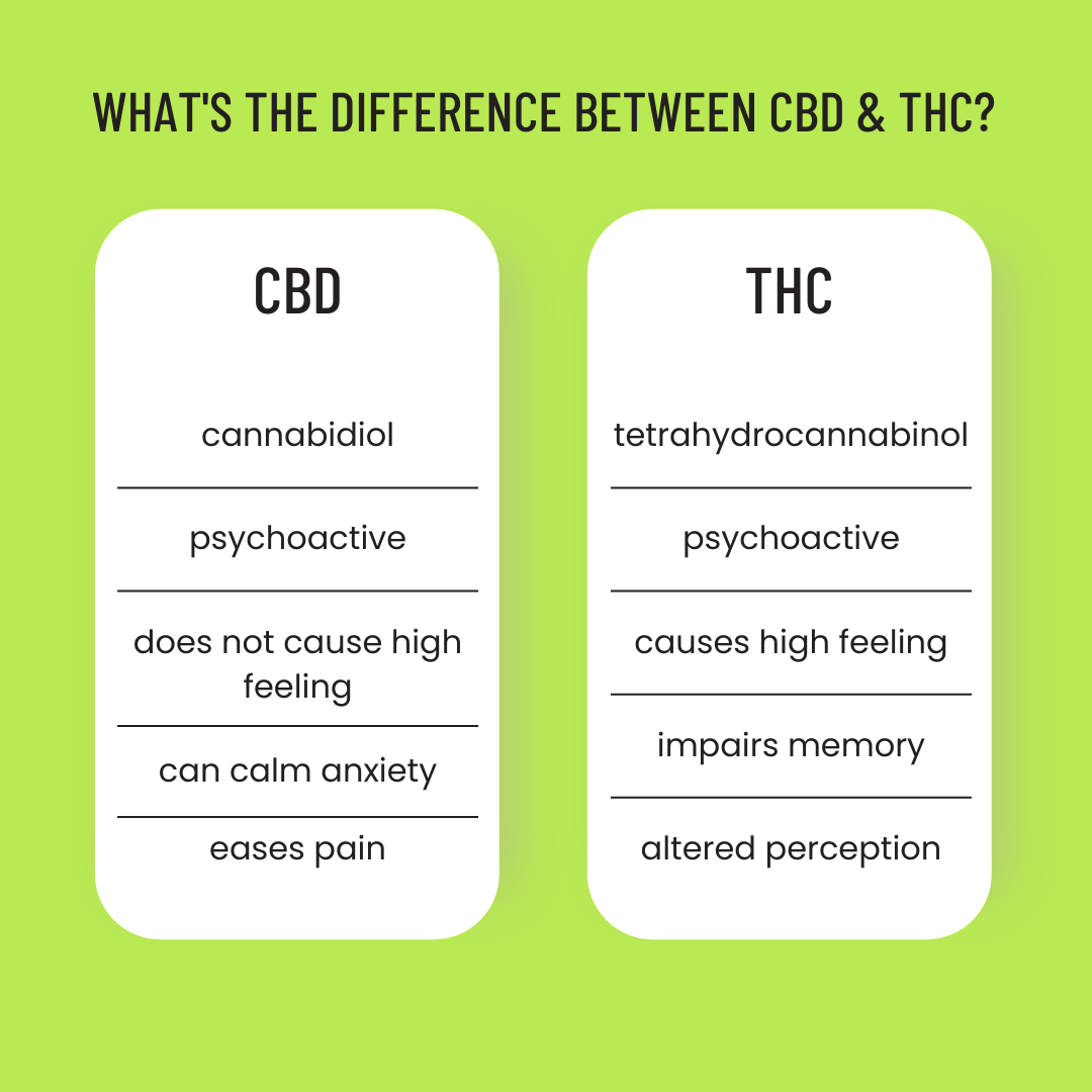 What s The Difference Between CBD And THC Decoded CA