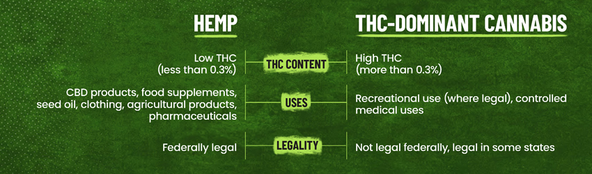 Infographic showing the differences between hemp and THC-dominant cannabis. Hemp contains low THC (less than 0.3%); is used for CBD products, food supplements, seed oil, clothing, agricultural products, and pharmaceuticals; and it is federally legal. THC-dominant cannabis contains high THC (more than 0.3%); is used recreationally (where legal) and for controlled medical uses; and is not legal federally, but legal in some states.