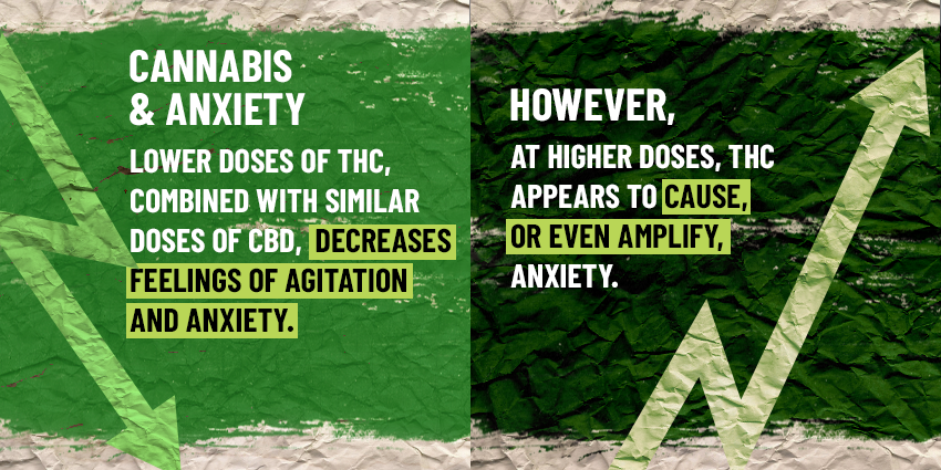 Cannabis & Anxiety levels