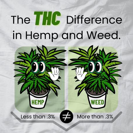 the THC difference in Hemp and Weed