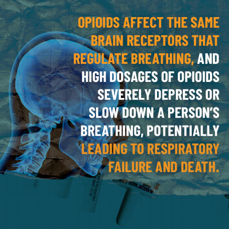 Opioids affect the same brain receptors that regulate breathing, and high dosages of opioids severely depress or slow down a person's breathing, potentially leading to respiratory failure and death.