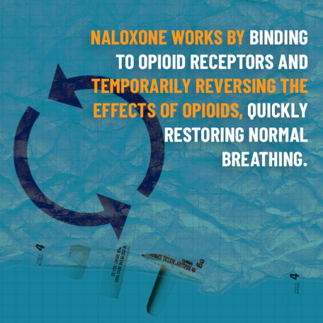 Naloxone works by binding to opioid receptors and temporarily reversing the effects of opioids, quickly restoring normal breathing.