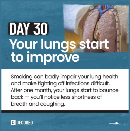 Infographic reading, "Day 30: Your lungs start to improve. Smoking can badly impair your lung health and make fighting off infections difficult. After one month, your lungs start to bounce back --- you'll notice less shortness of breath and coughing."