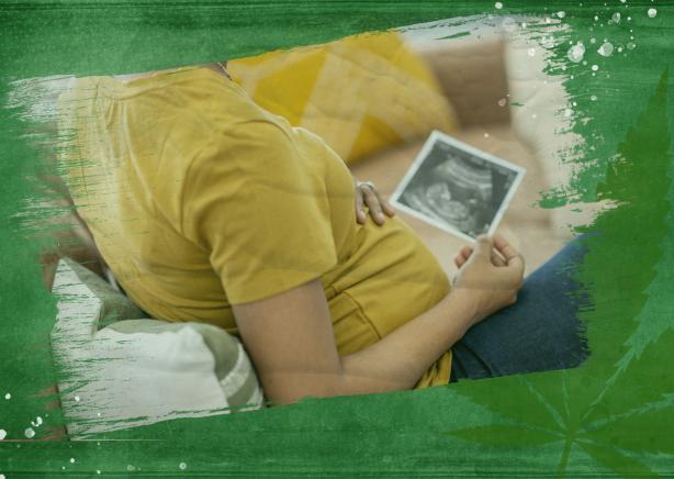 Shoulder's down image on a green background of a pregnant woman in a yellow shirt sitting on a couch and holding her belly with her left hand and a sonogram photo with her right