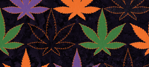 colorful cannabis leaf